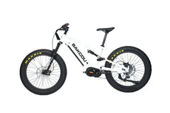Bakcou Storm G2 Fat Tire Electric Bike