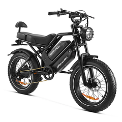 HappyRun G70 2000W 48V 38Ah Dual Battery Electric Cargo Bike