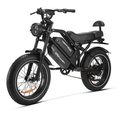 HappyRun G70 2000W 48V 38Ah Dual Battery Electric Cargo Bike