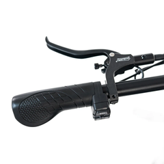 HappyRun G70 2000W 48V 38Ah Dual Battery Electric Cargo Bike
