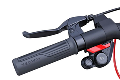EMMO SEGWAY P100S KICKSCOOTER