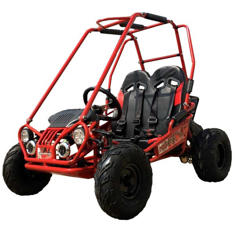 TRAILMASTER Mini XRX+ 2-SEATER GO-KART EAGLE SERIES 163cc