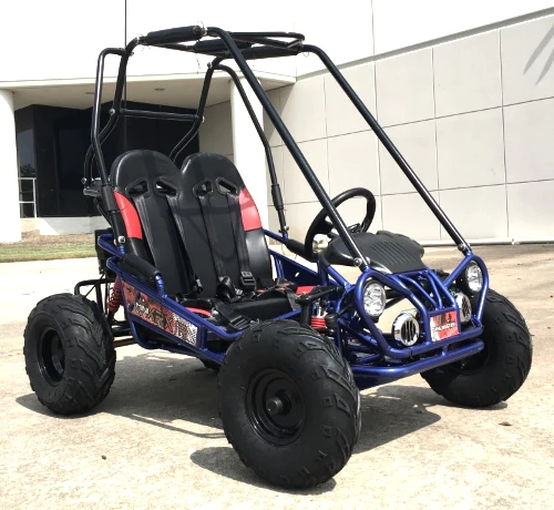 TRAILMASTER Mini XRX/R+ 2-SEATER GO KART – Epic Wheelz TRAILMASTER Mini XRX/R+ 2-SEATER GO KART – Epic Wheelz
