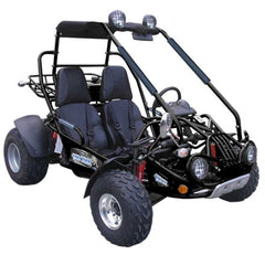 TRAILMASTER 200 XRX (Clearance) 2-SEATER GO KART