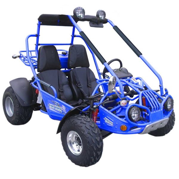 TRAILMASTER 200 XRX (Clearance) 2-SEATER GO KART