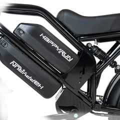 HappyRun G70 2000W 48V 38Ah Dual Battery Electric Cargo Bike