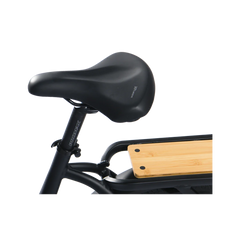 Revi Bikes Runabout.2 Step-thru City 750W Electric Bike - Commute Cargo Bike