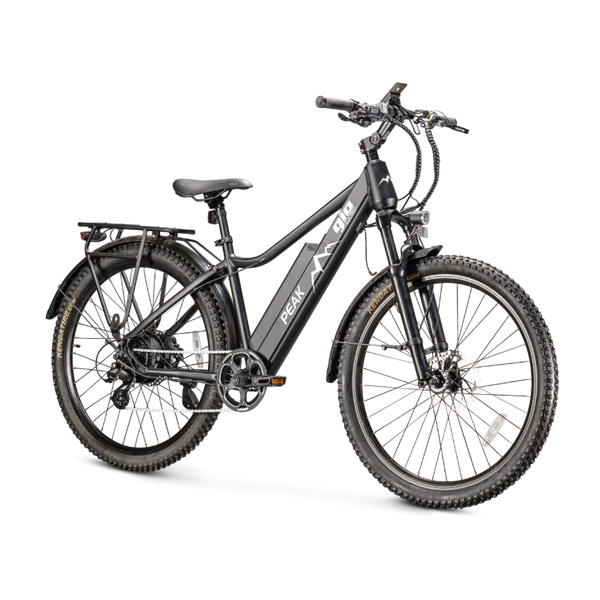 genze 200 series electric bicycle E201 Sport Bike 350 WATTS Portable4Life Review Genze Genze 200 Series