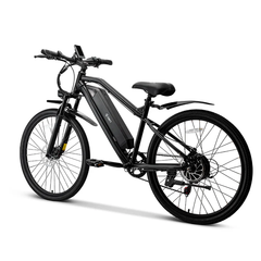 SWFT EDGE Electric Mountain Bike