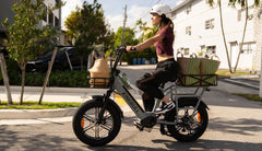 Kingbull Cargo Electric Bike Voyager