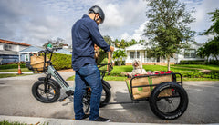 Kingbull Cargo Electric Bike Voyager