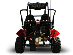 TRAILMASTER BLAZER 200R MID (Special) GO KART 2-SEATER