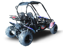 TRAILMASTER BLAZER 200 (Clearance) 2-SEATER GO KART