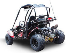 TRAILMASTER BLAZER 200 (Clearance) 2-SEATER GO KART