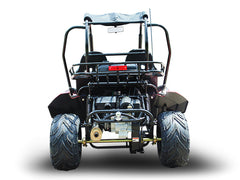 TRAILMASTER BLAZER 200 (Clearance) 2-SEATER GO KART