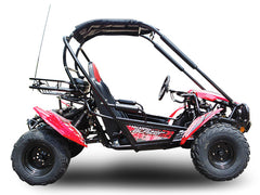 TRAILMASTER BLAZER 200 (Clearance) 2-SEATER GO KART