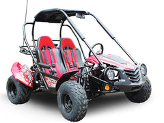 TRAILMASTER BLAZER 200 (Clearance) 2-SEATER GO KART