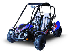 TRAILMASTER BLAZER 200 (Clearance) 2-SEATER GO KART