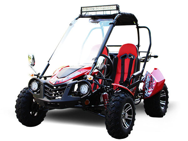 TRAILMASTER BLAZER 200X 2-SEATER GO KART