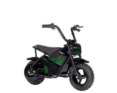 Drift Hero 250W Youth Mini Bike