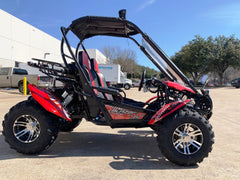 TRAILMASTER BLAZER 200EX EFI 2-SEATER GO KART