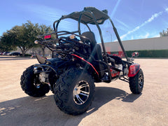 TRAILMASTER BLAZER 200EX EFI 2-SEATER GO KART