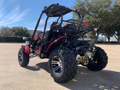 TRAILMASTER BLAZER 200EX EFI 2-SEATER GO KART