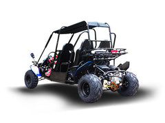 TRAILMASTER BLAZER4 200EX (EFI) GO KART 4-SEATER