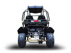 TRAILMASTER BLAZER4 200EX (EFI) GO KART 4-SEATER