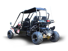 TRAILMASTER BLAZER4 200EX (EFI) GO KART 4-SEATER