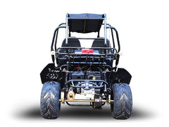 TRAILMASTER BLAZER4 200EX (EFI) GO KART 4-SEATER