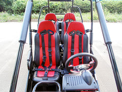 TRAILMASTER BLAZER4 200EX (EFI) GO KART 4-SEATER