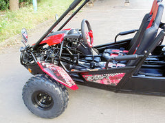 TRAILMASTER BLAZER4 200EX (EFI) GO KART 4-SEATER