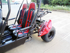 TRAILMASTER BLAZER4 200EX (EFI) GO KART 4-SEATER