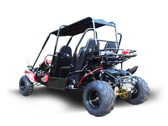 TRAILMASTER BLAZER4 200EX (EFI) GO KART 4-SEATER