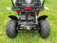 TRAILMASTER  300 XRS4 (EFI) 4-SEATER