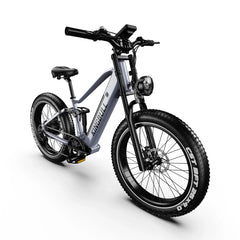 Kingbull All Terrain Softail Electric Bike Rover