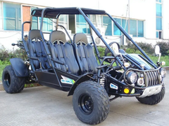 TRAILMASTER  300 XRS4 (EFI) 4-SEATER