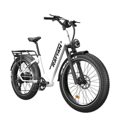 Rattan Pathfinder ST 750W