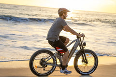 Kingbull All Terrain Softail Electric Bike Rover