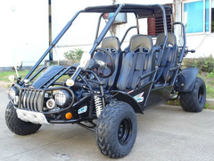 TRAILMASTER  300 XRS4 (EFI) 4-SEATER