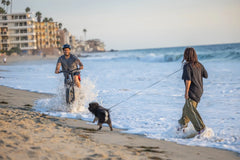 Kingbull All Terrain Softail Electric Bike Rover