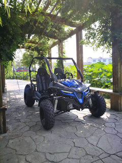 TRAILMASTER CHEETAH 200E (EFI) GO KART