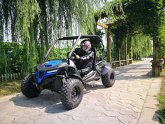 TRAILMASTER CHEETAH 200E (EFI) GO KART