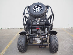 TRAILMASTER CHEETAH 200X