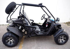 TRAILMASTER CHEETAH 200EX (EFI) GO KART