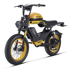 HappyRun G100 Pro 6000W 72V 33 Ah Dual Battery Electric Bike