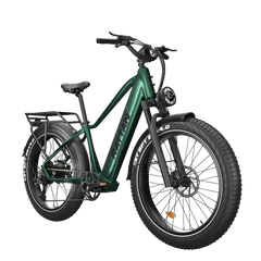 Rattan Pathfinder 750W Mountain Bike