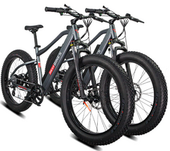 Revi Bikes Predator Bundle 500W Fat Tire Mountain Electric Bike