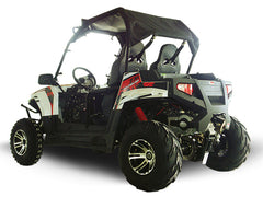 TRAILMASTER CHALLENGER 300EX (EFI) UTV 2-SEATER